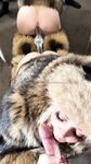 Onlyfans Leaked Photos - Auroraindica1 - Photos Onlyfans