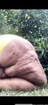Onlyfans Leaked Photos - Gorda_Bella - Amateur Photos