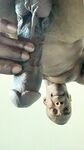 Onlyfans Leaked Photos - Seazonedbeef - Amateur Photos