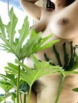 Onlyfans Leaked Photos - Zarasutra - Amateur Photos