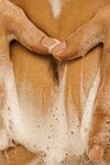 Onlyfans Leaked Photos - Miamaievska - Amateur Photos