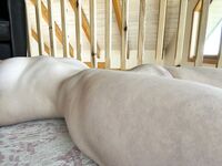 Onlyfans Leaked Photos - Babybunnnie - Amateur Photos