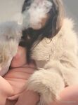 Onlyfans Leaked Photos - Cherryanne - Amateur Photos