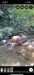 Onlyfans Leaked Photos - Dannicacardillo - Amateur Photos