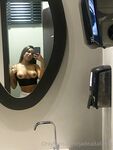 Onlyfans Leaked Photos - Jadeadalieofc - Amateur Photos