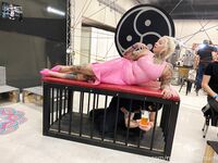Onlyfans Leaked Photos - Madamefermans - Amateur Photos