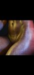 Onlyfans Leaked Photos - Mirellavieira - Amateur Photos