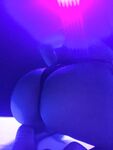 Onlyfans Leaked Photos - Mirellavieira - Amateur Photos