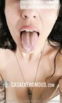 Onlyfans Leaked Photos - Venomouslips - Amateur Photos