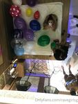 Onlyfans Leaked Photos - Mistressravenn - Amateur Photos