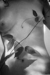 Onlyfans Leaked Photos - Altheaadair - Amateur Photos