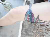 Onlyfans Leaked Photos - Madison_Sky - Amateur Photos