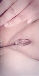 Onlyfans Leaked Photos - Vivacious_Veteran - Amateur Photos
