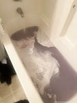 Onlyfans Leaked Photos - Ashleegraham - Amateur Photos