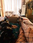 Onlyfans Leaked Photos - Melindafox25 - Amateur Photos