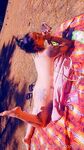 Onlyfans Leaked Photos - Coriboo - Amateur Photos