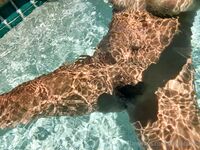 Onlyfans Leaked Photos - Fme2Oblivion - Amateur Photos