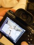 Onlyfans Leaked Photos - Silkshordyxo - Amateur Photos