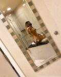 Onlyfans Leaked Photos - Haleywestvip - Photos