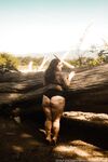 Onlyfans Leaked Photos - Amermaidrenegade - Amateur Photos
