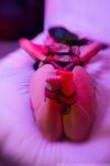 Onlyfans Leaked Photos - Amermaidrenegade - Amateur Photos