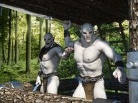 3Dzen Photos - Comix - Photos Art Chronicles Dunragon Orcs 1 Demon 3Dzen Of