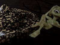 3Dzen Photos - Comix - Photos Art 2 Witchcraft Practicing 3Dzen
