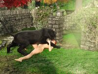3Dzen Photos - Comix - Pajamas Photos Art Cats 3Dzen The
