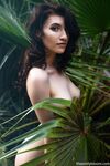 Lesbian - 2018-09-26 Kitty Tropic - Lizzy - Photos 2018-09-26 Lizzy Kitty Tropic Petite
