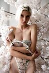 Lesbian - 2019-01-30 Cherry Blossom Girl - Hopelesssofrantic - Photos Cherry Hopelesssofrantic 2019-01-30 Blossom Girl Petite