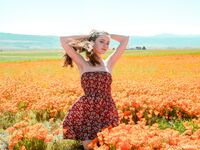 Lesbian - 2020-04-28 Poppies - Emily Bloom - Poppies Emily Photos Bloom 2020-04-28 Petite