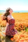 Lesbian - 2020-04-28 Poppies - Emily Bloom - Poppies Emily Photos Bloom 2020-04-28 Petite