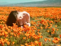 Lesbian - 2020-04-28 Poppies - Emily Bloom - Poppies Emily Photos Bloom 2020-04-28 Petite