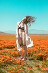 Lesbian - 2020-04-28 Poppies - Emily Bloom - Poppies Emily Photos Bloom 2020-04-28 Petite