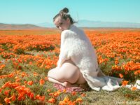 Lesbian - 2020-04-28 Poppies - Emily Bloom - Poppies Emily Photos Bloom 2020-04-28 Petite