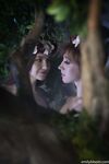Lesbian - 2021-09-15 Forest Nymphs - Emily Bloom & Alice - Emily Photos Alice Bloom & 2021-09-15 Forest Nymphs Petite