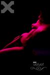 Erotic - X-Art.Com_2007-11-30_Izabella-Carr_Red-Velvet-Goddess - Photos Posing