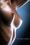 Erotic - X-Art.Com_2008-03-01_Nella_Bodyscapes - Photos Posing