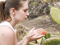 Mplstudios - Mplstudios 2025-02-16 Aristeia - On An Island - On Island Photos 2025-02-16 Aristeia An Xxx Photos