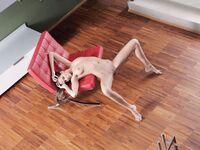 Erotic - X-Art.Com_2012-01-20_Silvie_Centerfold - Photos Posing