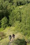 Erotic - X-Art.Com_2015-08-27_Izzy_In-The-Woods-And-Inside-Izzy - Photos Posing