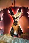 Erotic - X-Art.Com_2018-01-16_Vinna_X-Marks-The-Spot - Photos Posing