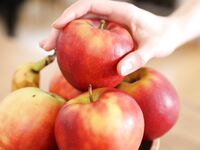 Erotic - X-Art.Com_2020-09-05_Alecia_Alecia-Fox--Eduard-Hot-Red-Apple - Photos Posing
