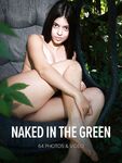 Erotic - Watch4Beauty [W4B]-2025-01-28 - Gia Rosse - Naked In The Green (64) 54648192 - 54648192 Photos (64) [W4B]-2025-01-28 Gia Green Naked In The Rosse Watch4Beauty