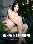 Erotic - Watch4Beauty [W4B]-2025-01-28 - Gia Rosse - Naked In The Green (64) 54648192 - 54648192 Photos (64) [W4B]-2025-01-28 Gia Green Naked In The Rosse Watch4Beauty