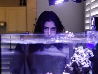 Posing - Zishy 65001613 Emelia Pearl Aquarium Teardrops Fall - Emelia Photos 65001613 Fall Pearl Teardrops Aquarium Softcore