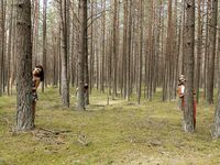 Posing - Zishy 65001630 Three Girls One Forest - Photos One Girls 65001630 Three Forest Softcore