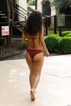 Posing - Zishy 65001638 Renee Macias Just Say No - Photos Renee 65001638 Say Just No Macias Softcore
