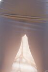 Posing - Zishy 65001711 Lady Noire Buttanical Garden - Lady Photos Buttanical Garden Noire 65001711 Softcore