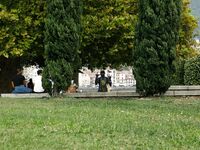 Posing - Zishy 65001843 Sylvia Belotti Como Bros - Belotti Photos Como 65001843 Sylvia Bros Softcore